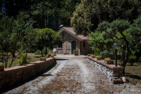 La pace dei sensi
